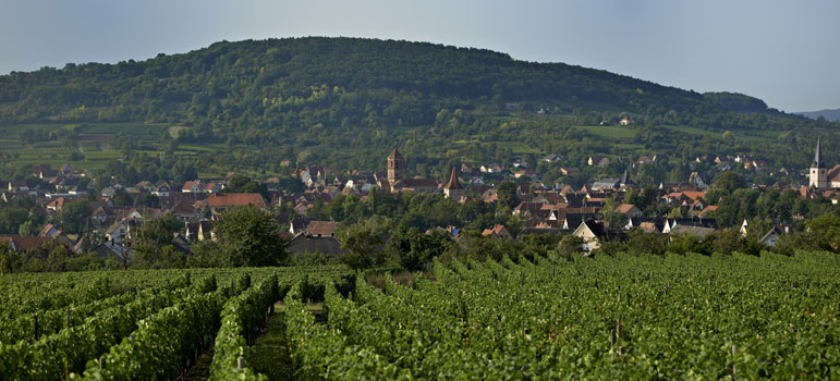 Gîte Au coeur de la cité Romane - Les alentours