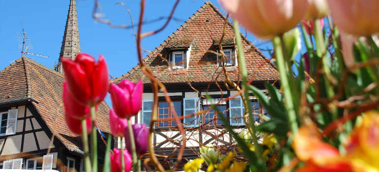Gîte Au coeur de la cité Romane - Les alentours