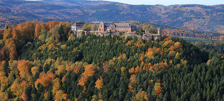 Gîte Au coeur de la cité Romane - Les alentours